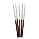 Salon Nail Art Design Polish Painting Drawing Liner Brushes Pens Kit 5Pieces
