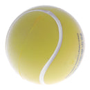 Professional Soft Finger Hand Grip Squeeze Exercise Ball for Stroke Hemiplegia Fingers Recovery - High Elastic Sponge