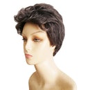 Short Fluffy Curly Hair Wig Women Natural Brown Cosplay Daily Party Costume Full Wigs