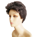 Short Fluffy Curly Hair Wig Women Natural Brown Cosplay Daily Party Costume Full Wigs