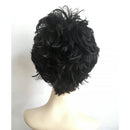 Chic Unisex Natural Fluffy Layered Wavy Wigs Fiber Curly Wigs Full Wig Black