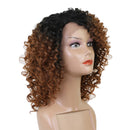 12 inch Lace Front Curly Wig For Women Kinky Curly Afro Wigs for Black Women Synthetic Full Wigs Heat Resistant Fiber