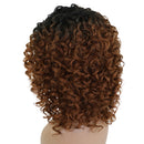 12 inch Lace Front Curly Wig For Women Kinky Curly Afro Wigs for Black Women Synthetic Full Wigs Heat Resistant Fiber
