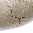 Large 15in Resin Dinosaur Egg Model Skeleton Fossils Incubated Animal Simulation