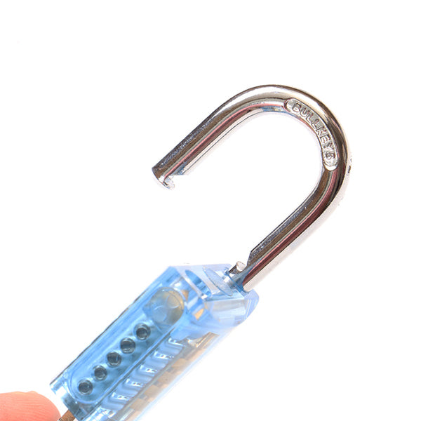 DANIU 5Pins Blue Transparent Pick Cutaway Visable Inside View Padlock Lock for Locksmith Practice Training