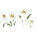 Miico FX64042 Sun Flower Wall Sticker Kindergarten Children's Room Decoration Stickers DIY Sticker