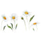 Miico FX64042 Sun Flower Wall Sticker Kindergarten Children's Room Decoration Stickers DIY Sticker