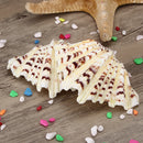 Living Room Ornaments Sea Shell Clam Tridacna Big Conch Natural 10-12CM Fish Tank Decorations