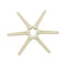 2pcs Cattle Bone Guitar Parts Endpin with Abalone Dot Bridge End Pins for Acoustic Guitar