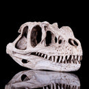 Resin Ceratosaurus Dinosaur Skull Fossil Model Collectible Craft Gift Decorations