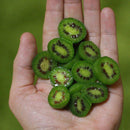 Egrow 100Pcs/Bag Mini Kiwi Berry Seeds Miniature Kiwi Berry Hardy Actinidia Arguta Fruit Seeds