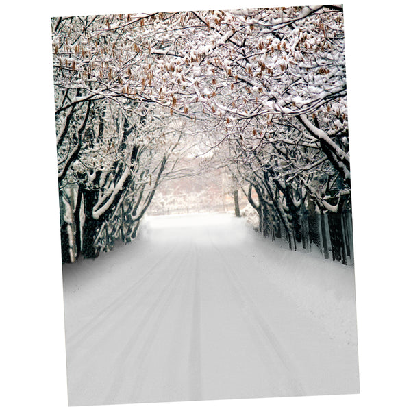 1.5x1m Bar Wall Floor Studio Prop Photography Background Photo Backdrop Snow Road