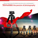Professional Heavy Duty Camcorder Tripod Monopod with Carry Bag for SLR and DSLR Cameras Blue