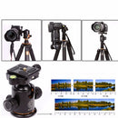 QZSD Q03 Professional DSLR Cam Camera Metal Tripod Ball Head With Quick Release Plate 1/4'' Screw Max Load 8kg Black