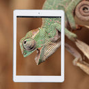 Anti-Scratch Clear HD Film Guard LCD Screen Protector for iPad 2 3 4 Tablet