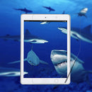 Anti-Scratch Clear HD Film Guard LCD Screen Protector for iPad 2 3 4 Tablet