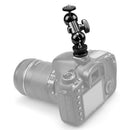 Multi-function Double Ball Head With Shoe Mount 1/4" Screw For LCD Monitor