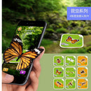 AR 4D Flashcards Fancy Zoo Magic Animal Educational Game 68Pcs /Set for Kids