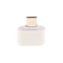 10 Pack Micro USB To USB2.0 Adapter Plug Mini OTG Converter For Android Mobile White