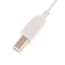 OTG Adapter Male To Type B Male Adapter Connector Cable For IPhone 8/Printer