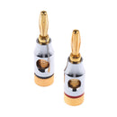 2 Pieces Banana Plugs Audio Jack 24k Gold Screw Speaker Connector with Hole
