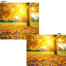 72mm Camera Soft Focus Filter Special Effect Diffuser Soften Lens for Canon Nikon