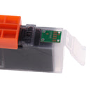 550XL High Yield Ink Cartridge Replacement for Canon PIXMA MG5450/MG5550