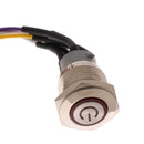 1Pack 16mm Chassis Switch With 60cm Cable Red LED Ring With Switch Symbol