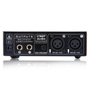 2-Channel Microphone Preamplifier Dual MIC Preamp Electric Guitar Bass Amp