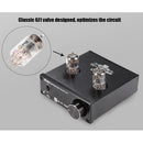 Mini Vacuum 6J1 Electronic Tube Preamp Audio HiFi Stereo Home Pre-Amplifier