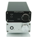 HIFI 2.0 Audio Digital High Power Amplifier Mini Professional Amp TPA3250