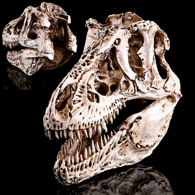 16cm Tyrannosaurus T-Rex Dinosaur Resin Skull Model Collectibles Toys Display Craft Gift