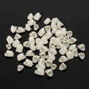 2 packs Dental Temporary Crown Material for Anterior + Molar Teeth Veneers