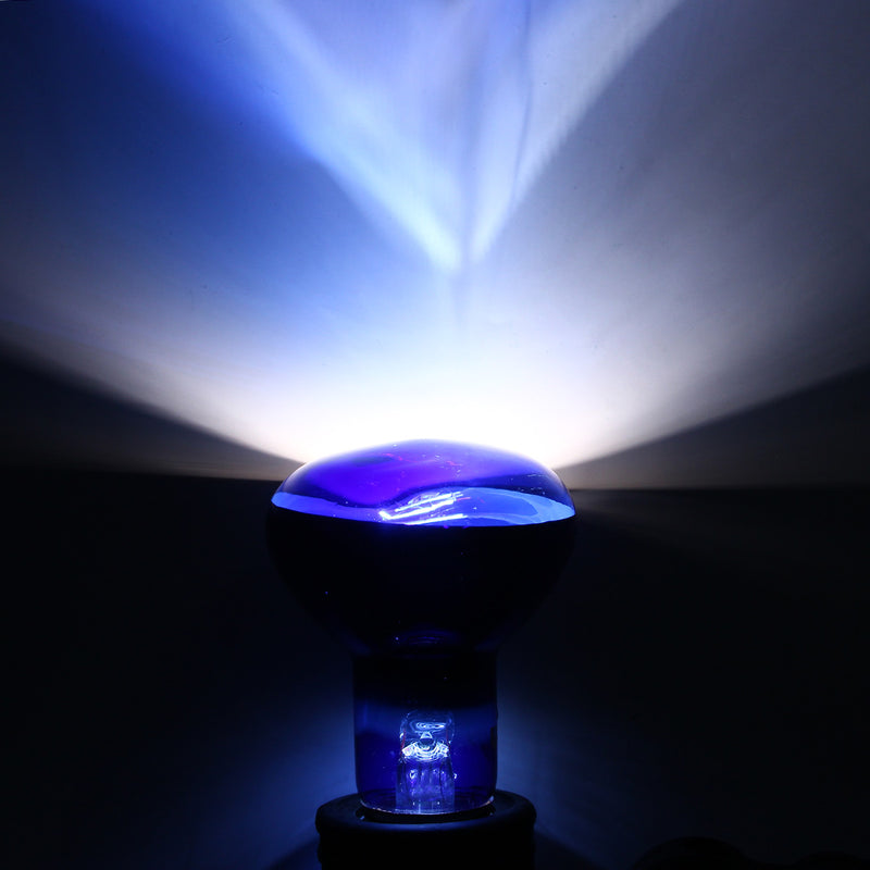 E27 25/40/50/60/75/100W R63 Blue Shell Emitter Lamp Heat Reptile Bulb Light AC220-240V