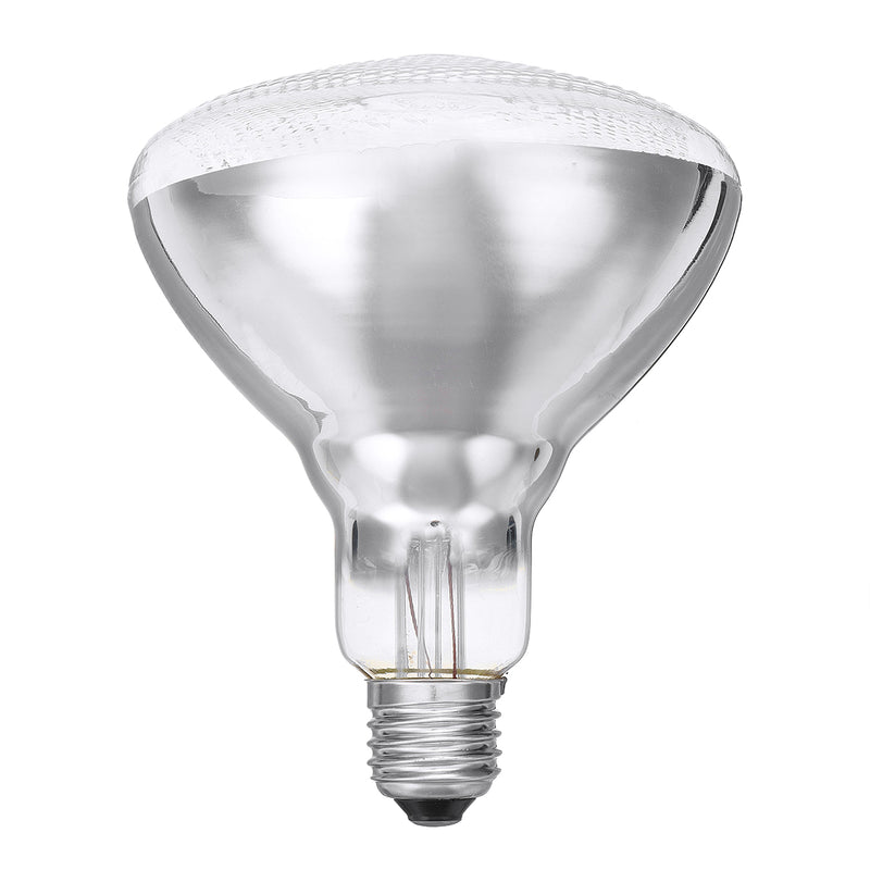 AC220V 250W Poultry Heat Incubator Lamp Infrared Pet Bulb Warm Light + Lampshade for Animals