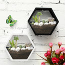 Hexagon Hanging Wall Basket Plant Flower Pot Box for Home Balcony GardenDecorations