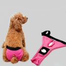 Pet Female Dog Under Clothing Supplies Soft Moisture Breathable Ribbing Classic Physical Pant Sanitary Underwear Rose Red M