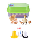 12 Egg Automatic Egg Incubator Chicken Duck Egg Hatching Incubator EU Plug
