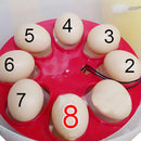 8 Egg Automatic Turning Egg Incubator Chicken Poultry Hatcher Brooder EU Plug