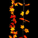 165cm Battery Powered LED Rope String Light Decorative Fairy Lamp with Maple Leaves, Warm White