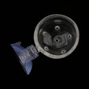 Aquarium Tank Glass Fish Feed Feeder Snail Trap Planarian Leech Catch with Pinholes