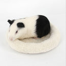 Soft Comfortable Cold Winter Small Animal Mat Hamster Pig Pet Hedgehog Warm Sleeping Bed Pad Mat S Cream