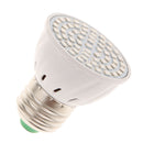 High Quality 220V 6W 60SMD LED Plant Grow Light Bulb Full Spectrum E27 Screw