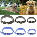 Soft Foam Comfortable Durable Use Adjustable Padded Nylon Pet Puppy Dog Basic Collar Safety Neck Strap Blue S