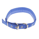 Soft Foam Comfortable Durable Use Adjustable Padded Nylon Pet Puppy Dog Basic Collar Safety Neck Strap Blue M
