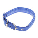 Soft Foam Comfortable Durable Use Adjustable Padded Nylon Pet Puppy Dog Basic Collar Safety Neck Strap Blue M