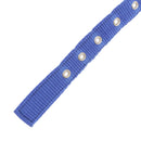 Soft Foam Comfortable Durable Use Adjustable Padded Nylon Pet Puppy Dog Basic Collar Safety Neck Strap Blue M