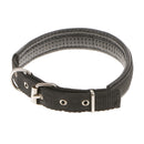 Soft Foam Comfortable Durable Use Adjustable Padded Nylon Pet Puppy Dog Basic Collar Safety Neck Strap Black L