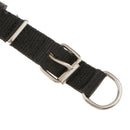 Soft Foam Comfortable Durable Use Adjustable Padded Nylon Pet Puppy Dog Basic Collar Safety Neck Strap Black L