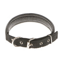Soft Foam Comfortable Durable Use Adjustable Padded Nylon Pet Puppy Dog Basic Collar Safety Neck Strap Black L